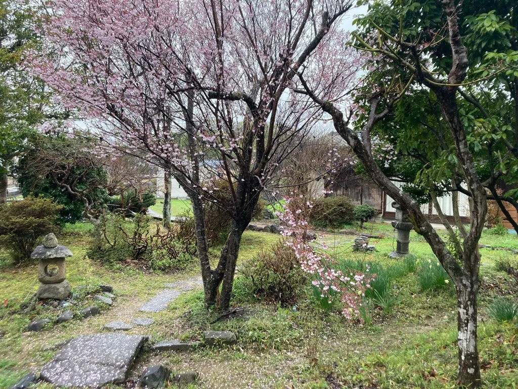 春の庭
